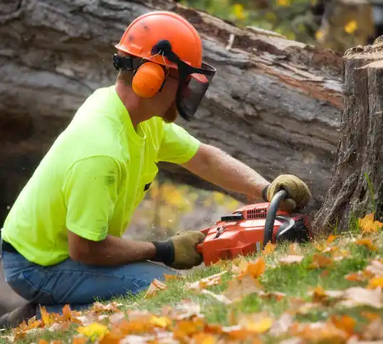 tree services Mound City